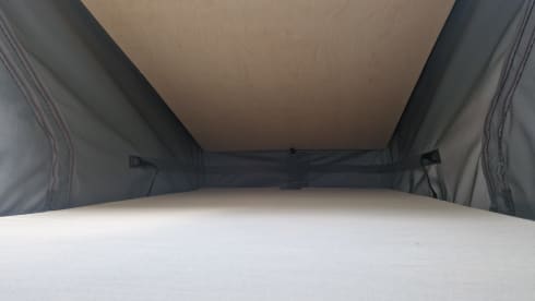 Ohm Sweet Ohm – Volkswagen ID Buzz - 100% electric