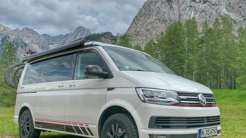 WhiteRose – Beautiful VW California with all-wheel drive 