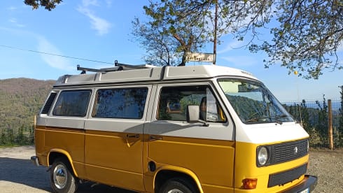 FRANCO - Vw T3 Westphalia