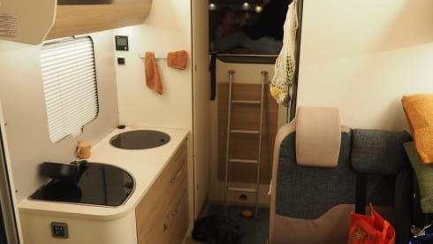 6p Rimor Evo5 from 2022