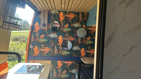 Jalfrezi  – 3 berth Volkswagen campervan from 2017