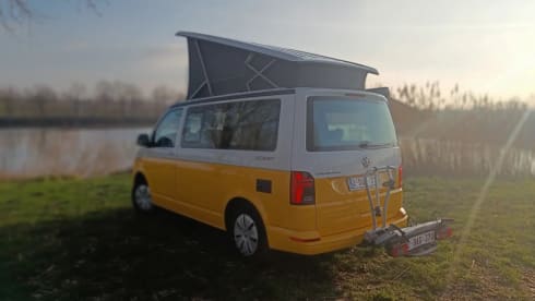 STORMY 2 – Volkswagen California Ocean 