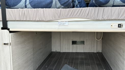 Rollerteam Livingstone Duo Xl