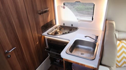 T-Line 590 – T-Line 590