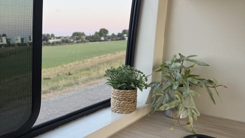 ColumBus  – Off-Grid Campervan | Stylish 