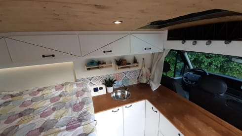 Odette – Cozy Renault Master with necessary facilities
