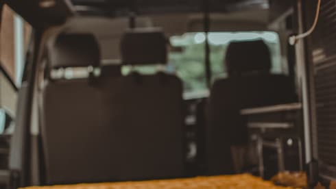 Harley – When Dog Friendly Means Dog Friendly - Luxury VW T6.1 Campervan