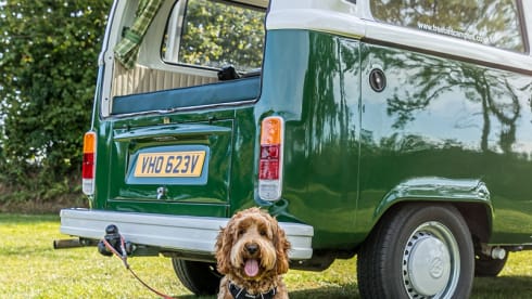 Monty – stunning 1979 4 berth VW Campervan  