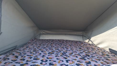 Camper Fiat a 5 posti del 2015
