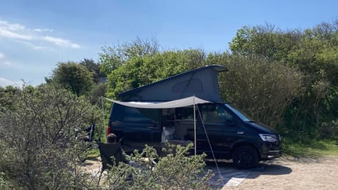 Holivan – 2p Volkswagen other from 2017