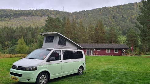 Beatle  – Our beautiful white-green VW camper