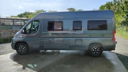 Living Stone 2 – LAIKA Ecovip 300