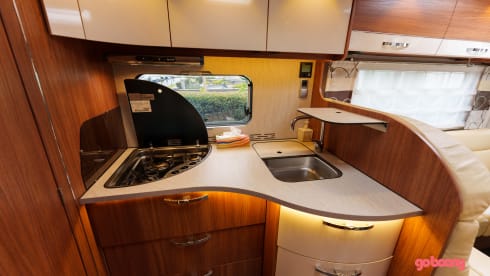 Frankia integral I65 Exclusive