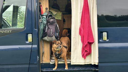 Bluey – Cosy Self-Built Camper Van for Your UK Adventures