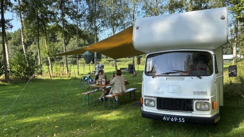 Oldtimer in perfect condition! Hanomag Henschel '71