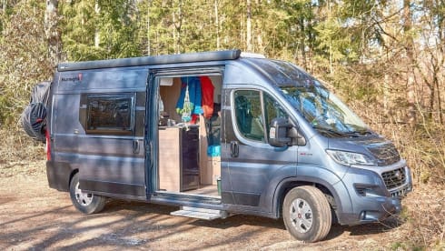 Cliffy – Bereit für neue Abenteuer?