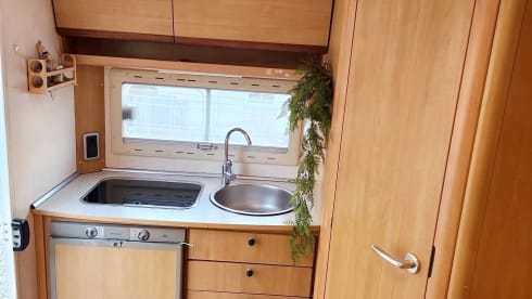 Rolli  – Rolli rolls :-)