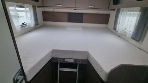 I 447 – 4p Carado integrated from 2025