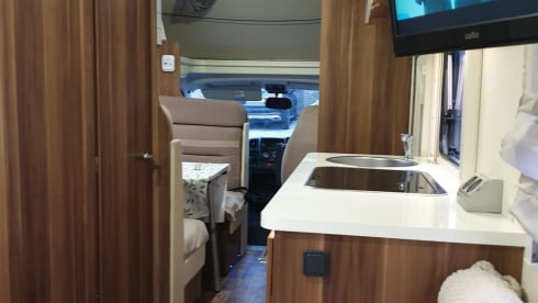 Rolly – 6 berth Roller Team alcove from 2015