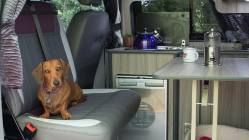 Loretta – Loretta VW T6 Campervan, Pop top roof 4 berth (5 seater).