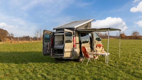 Roza – 4p Renault Camperbus from 2011 - suitable for almost any adventure!