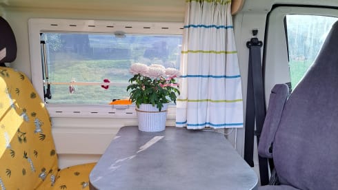 Clever – Autobus Citroën a 2 posti del 2019