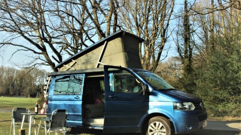 Dragonfly – VW California
