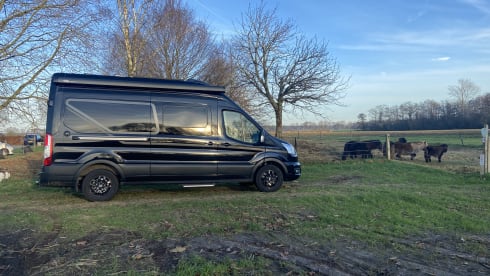 Beautiful 2-person Ford camper van from 2023 with luxurious furnishings