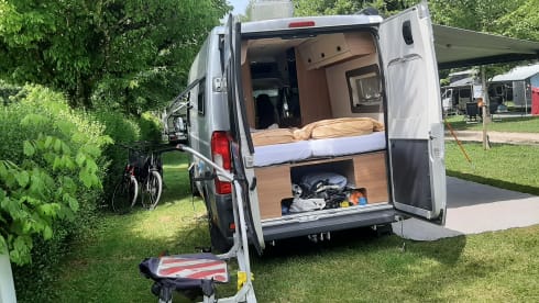 2p Sun Living bus from 2018