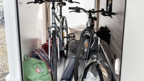 5p Roller Team ab 2026 teilintegriert