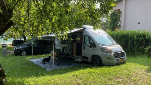 Niks hoeve – 4p Carado bus uit 2021