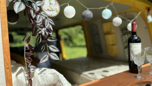 Pippin – VW T5 Postbus 
