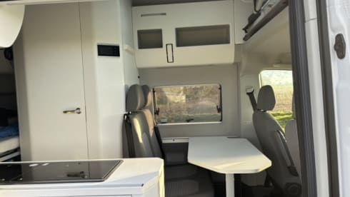 GROETEN BEER – Volkswagen Bus a 4 posti dal 2025