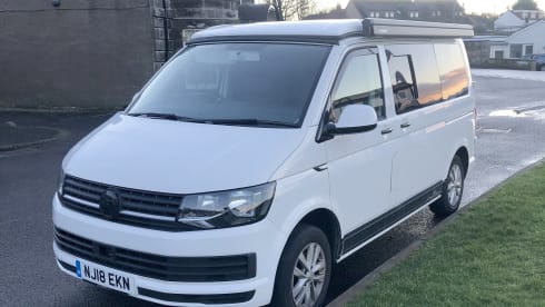 Petunia – Petunia the Campervan