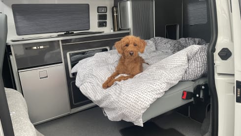 Olaf – Volkswagen campervan 2021, 4 berth, air awning available.