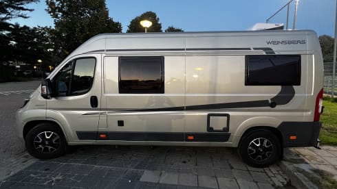 4p Fiat bus from 2018