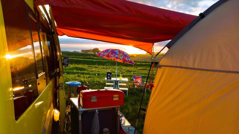 FESTIVALBUS – Converted "FESTIVALBUS" for 5 people! (2012 Ford Transit)