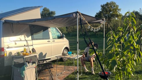2p Volkswagen campervan uit 2015