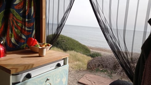 Leeuwke – Minibus Peugeot 2 places de 2014