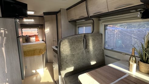 Piloot – Pilote camper - a big people camper! fully furnished!