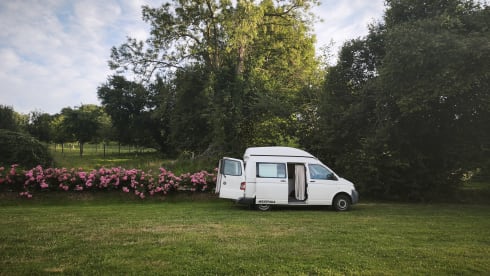 Frits – 2-seater Volkswagen campervan from 2009