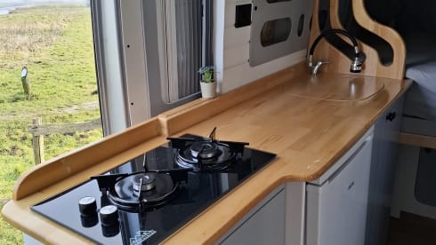 2-person Peugeot bus from 2012