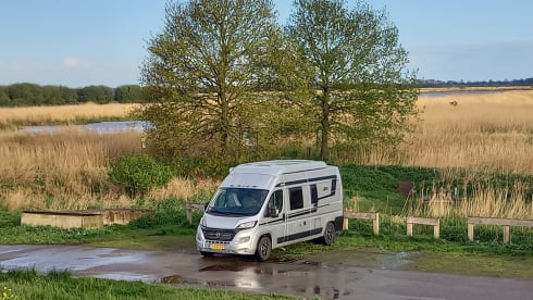 4p camper bus automatic from 2021