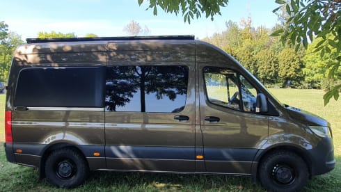 Lizz – 2p Mercedes-Benz bus from 2023
