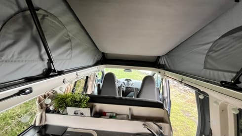 Nuggy  – 4p Ford bus from 2018