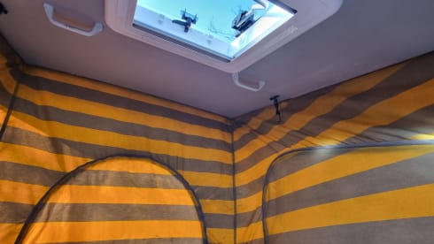 Harrison – 2p Marquis other from 2019