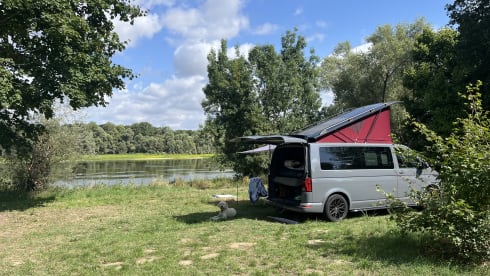 George – 4 berth Volkswagen campervan from 2023