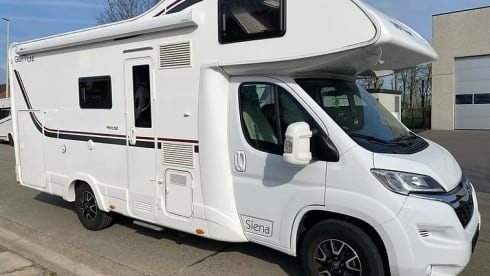 6-Sitzer Citroën Alcove ab 2019