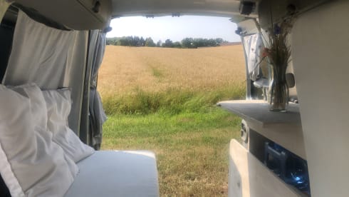 Willi – Vermiete Renault Kangoo Minicamper Eigenumbau