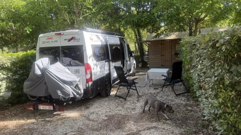 De Maly – 2p Malibu bus uit 2025